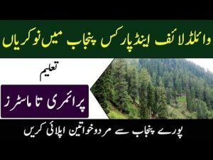 Read more about the article Jobs in Wildlife and Parks Department Sargodha Nov 2020