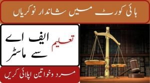 Read more about the article Toba Tek Singh Session Judge Office Jobs