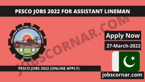 Read more about the article PESCO Jobs 2022 for Assistant Lineman