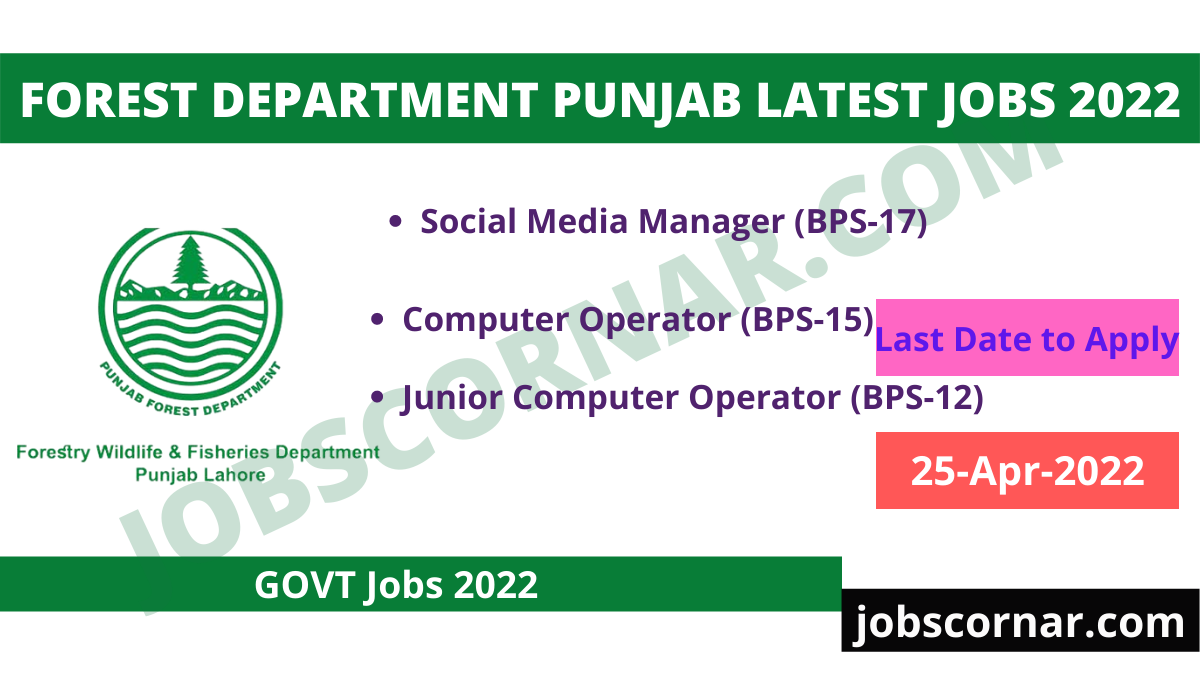 Read more about the article Forest Department Punjab Latest Jobs 2022