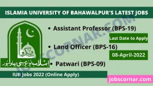 Read more about the article Islamia University of Bahawalpur’s Latest Jobs
