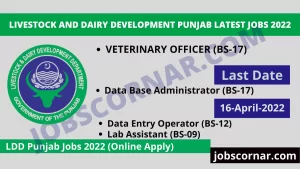 Read more about the article Livestock and Dairy Development Punjab Latest Jobs 2022