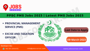 Read more about the article PPSC PMS Jobs 2023 | Latest PMS Jobs 2023