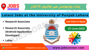 Read more about the article Latest Jobs at the University of Punjab Lahore