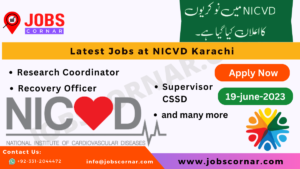 Read more about the article Latest Jobs at NICVD Karachi