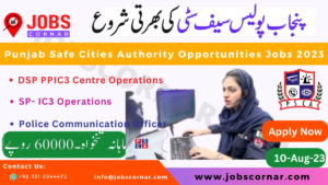 Read more about the article Punjab Safe Cities Authority Opportunities Jobs 2023