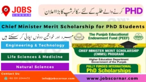 Read more about the article Chief Minister Merit PEEF Scholarship 2023 for PhD Students