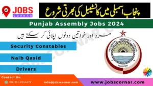Read more about the article Punjab Assembly Jobs 2024 Latest