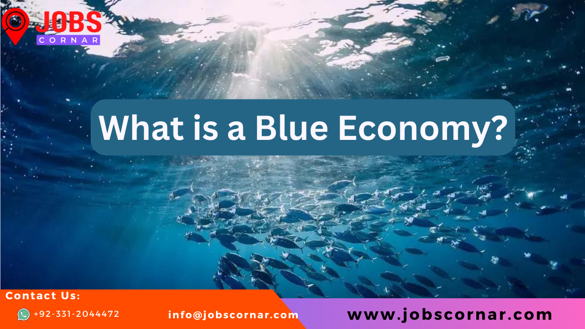 Read more about the article What is a Blue Economy?
