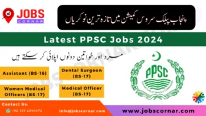 Read more about the article Latest PPSC Jobs 2024 A Gateway to Excellence