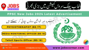 Read more about the article PPSC New Jobs 2024 Latest Advertisement