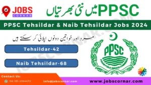 Read more about the article PPSC Tehsildar & Naib Tehsildar Jobs 2024: Apply Online, Eligibility, Exam Tips