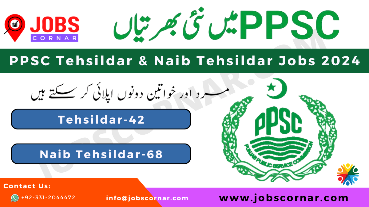 Read more about the article PPSC Tehsildar & Naib Tehsildar Jobs 2024: Apply Online, Eligibility, Exam Tips