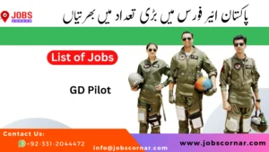 Read more about the article Join PAF as GD Pilot Latest Jobs 2024: Everything You Need to Know