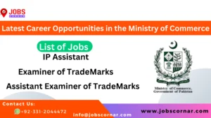 Read more about the article Latest Career Opportunities in the Ministry of Commerce