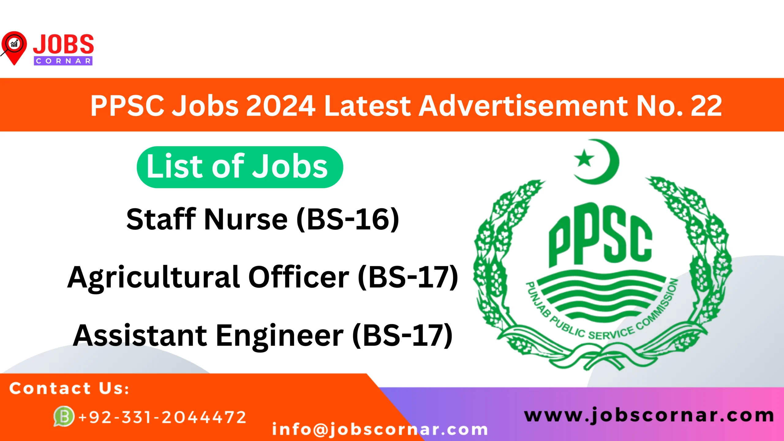 Read more about the article PPSC Jobs 2024 Latest Advertisement No. 22