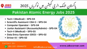 Read more about the article Pakistan Atomic Energy Jobs 2025 Apply Now