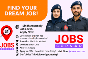Sindh Assembly Jobs 2025