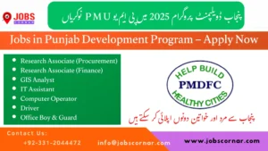 Jobs in Punjab Development Program – Apply Now