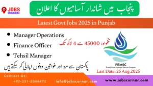 Latest Govt Jobs 2025 in Punjab