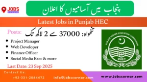 Latest Jobs in Punjab HEC