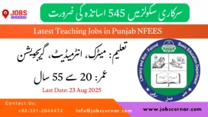 Latest Teaching Jobs in Punjab NFEES