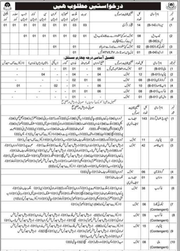 Sports Directorate Punjab Jobs 2025