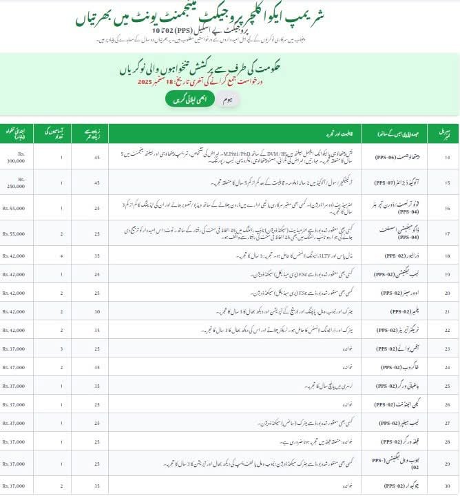  Jobs in Punjab
