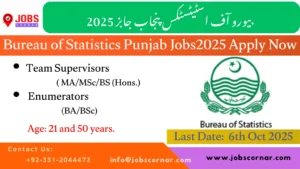 Bureau of Statistics Punjab Jobs2025 Apply Now