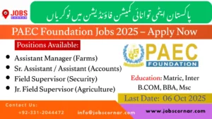 PAEC Foundation Jobs 2025 – Apply Now