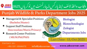 Punjab Police Sub Inspector Jobs 2025