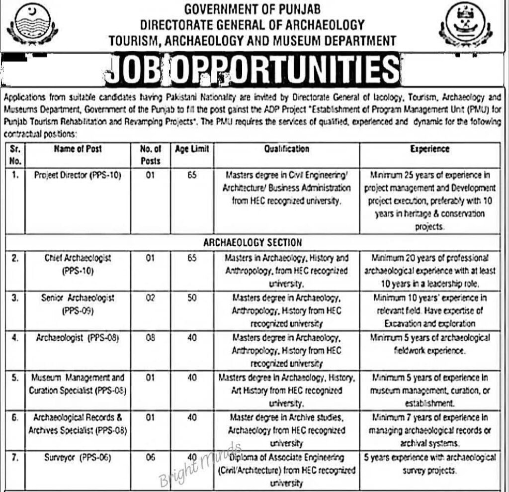 Museum Department Punjab Careers  Punjab Jobs 2025