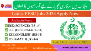 PPSC Jobs 2025