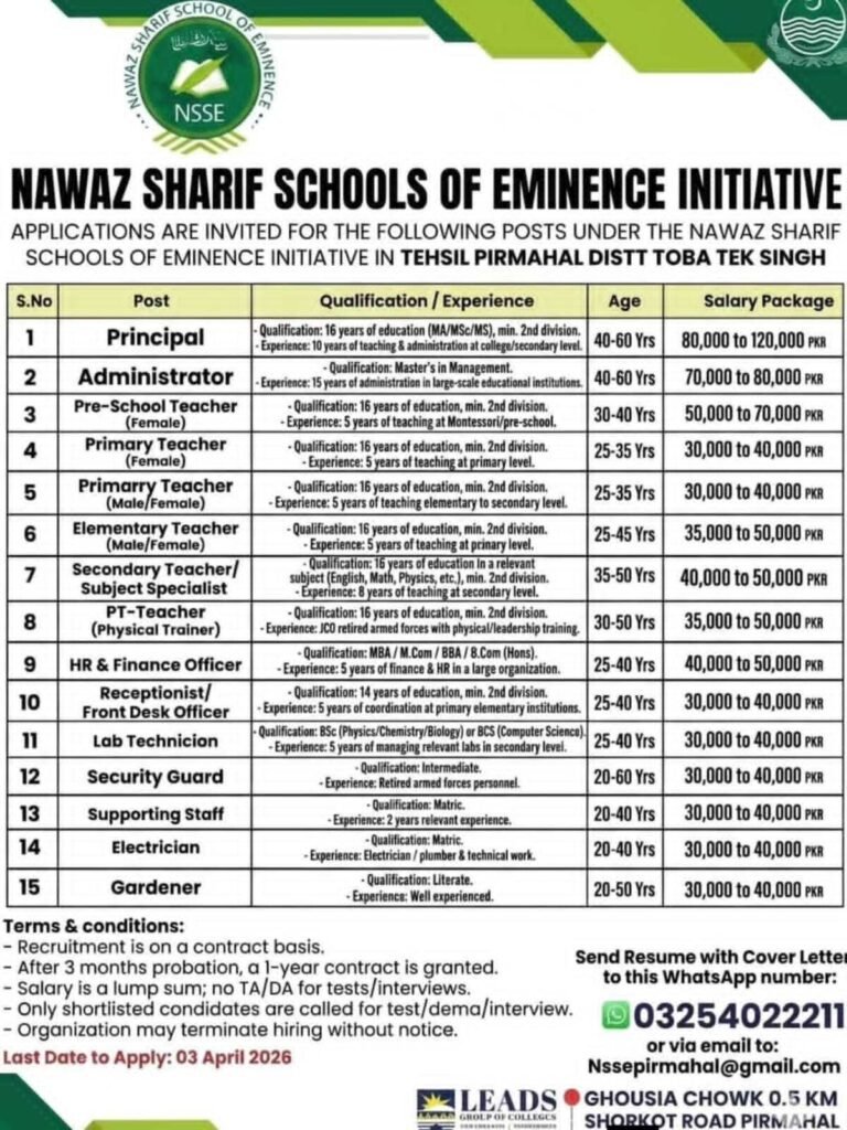 Jobs in Toba Tek Singh NSSE program