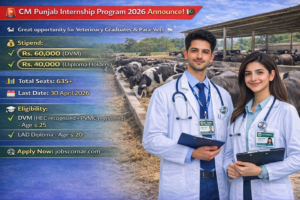 CM Punjab Internship Program 2026 Announced!
