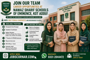 Jobs at NSSE 2026, Kot Addu Apply Now