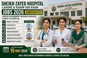 Sheikh Zayed Hospital Jobs 2026