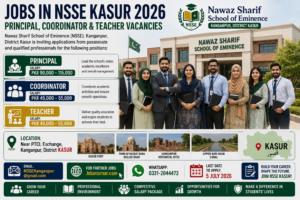 Jobs in NSSE Kasur 2026