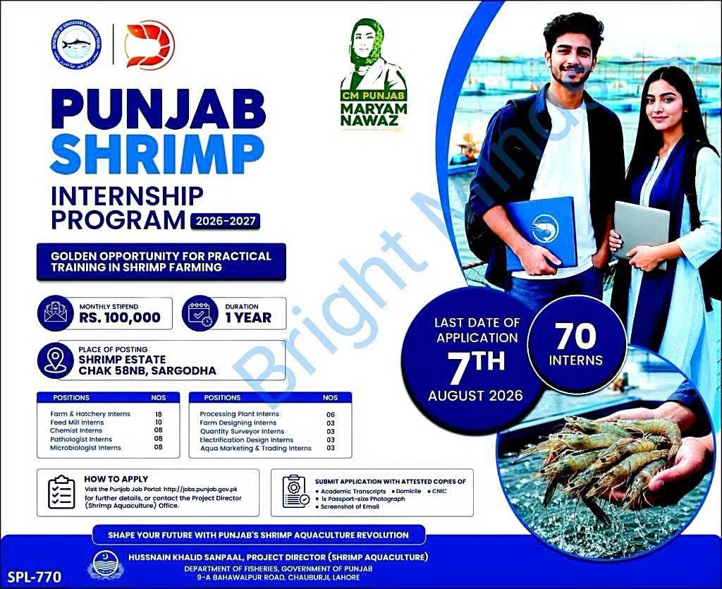 Internship Program 2026