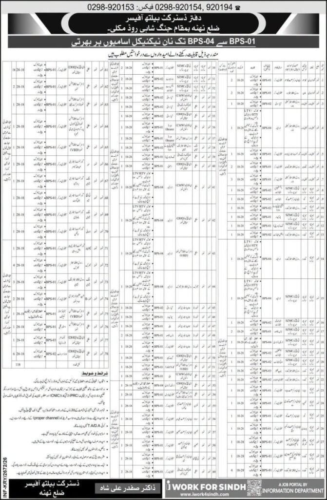Jobs in Thatta 2026