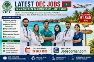 OEC Jobs in Maldives