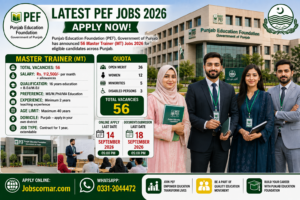 PEF Jobs 2026